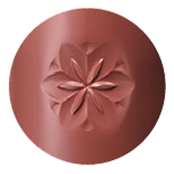 24 Warm Brown