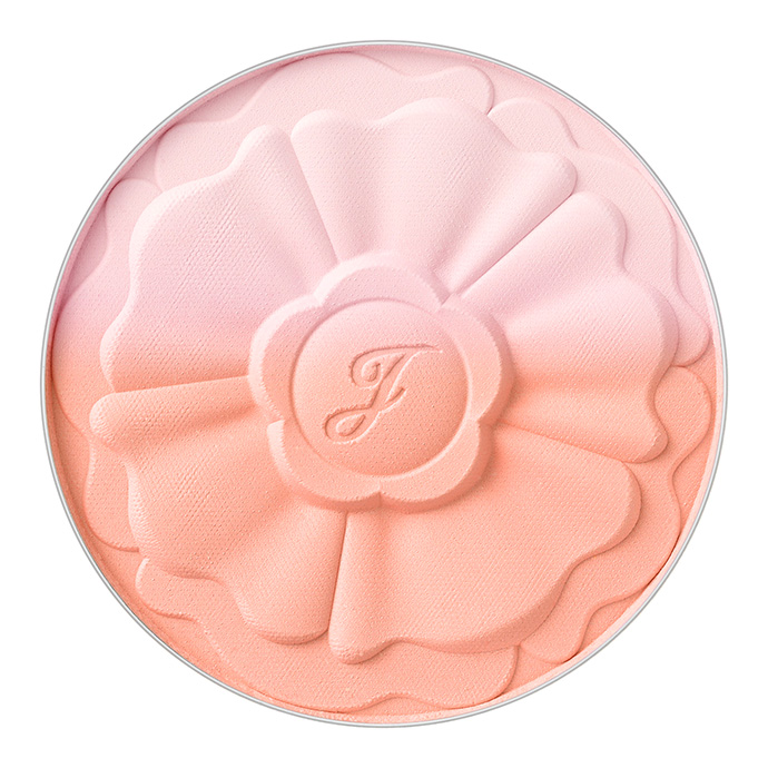 07 sweetness gerbera